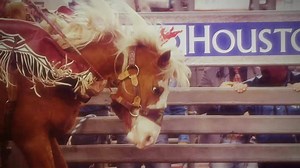 84K views · 517 reactions | RODEOHOUSTON tickets are on sale now! Tickets start at $18, buy yours today at rodeohouston.com! | RODEOHOUSTON | Facebook