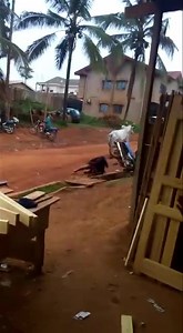 3.3K views · 13 reactions | Machine gun joe on Reels | Facebook