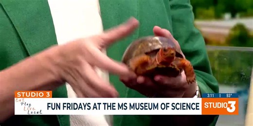 Fun Fridays at the Museum of Natural Science