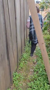 17K views · 303 reactions | Pide ayuda Doña Pastora ⚠️⚠️ | Films Cantú | Facebook