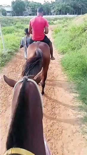 SPECIAL VLOG 🐴 #shorts #video #equestrian #horse