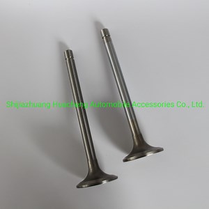 [Hot Item] 2072411 Intake Exhaust Valve Engine for K19