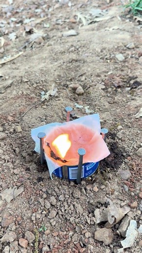 Making a fire in nature with canned fish #camping #bushcraft #campfire #outdoors #survival