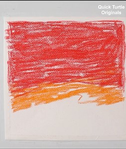 Amazing Art!😍 | Quick Turtle