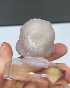 18 reactions | Chalcedony from Maricopa County (Arizona, USA)...