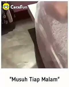 10K views · 80 reactions | Alhamdulillah bisa panen nyamuk | CocoFun_Indonesia_Official | Facebook