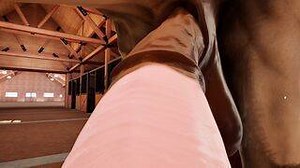 POV Stallion Throat-Fuck | VR Stallion 2.1 Gameplay