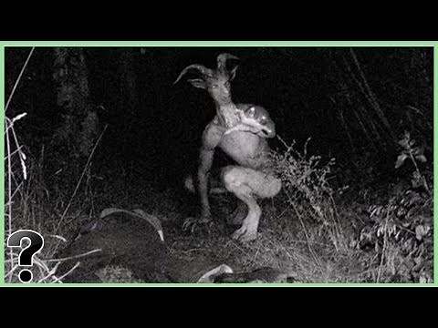 What If The Goatman Was Real?