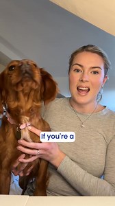 22K views | Regular check ups are an important part of keeping your pet healthy. We're offering a free Nose-to-Tail Health Check, plus free nail clipping*, carried out by one of our vet nurses, with an average saving of £46†. | Medivet UK | Facebook