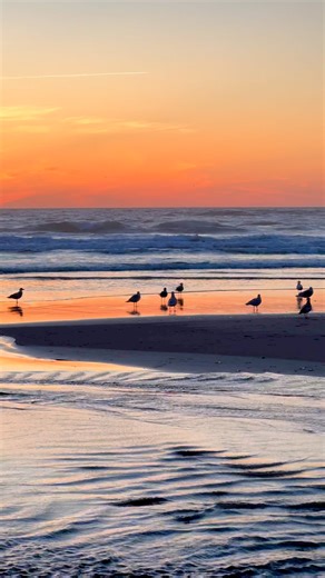 The sky was on fire last night in Rockaway Beach. #tillamookcoast #oregoncoast #oregonexplored #beachvibes #beachsunset #rockawaybeachoregon | Trent Olson