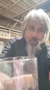 #mujko pina hai | Rajib Kro