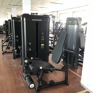 [Hot Item] Gym Equipment Strength Exercising Machine Leg Extension