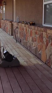 34K views · 311 reactions | Instead of using chemical stripper I rented a sander from the big box store to SAND the finish off my porch so I could refinish it. :) It worked like a champ! I was so happy to avoid using chemicals and all the water from a pressure washer. Check out my YouTube channel on Sunday to see the entire process start to finish! #sanding #diy #refinish #refinishdeck #sander #floorsanding #doit #doityourself #woodworker | Wilker Do's | Facebook