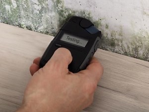 Mold Present In 2 Additional Middletown Schools: Report