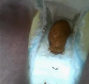 I FILLED MY NAPPY AGAIN