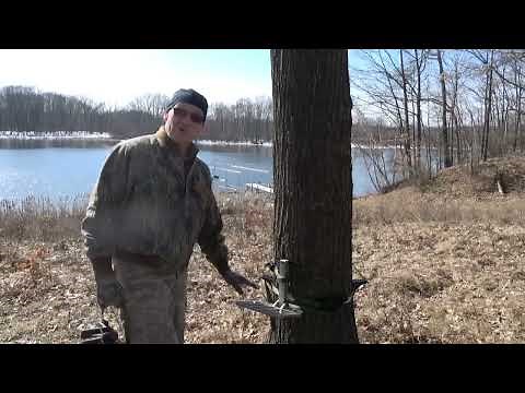 105 Bullman and Treehopper rings of steps 10% discount and maneuvering around tree on both sets