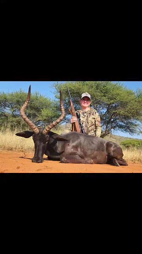 Pace yourself 🤣🤣🤔 #cabelasdog #kudu #archery #cabelasguidewear #huntinggear #cabelas #safariclubinternational #huntingseasonchallenge #benelli #remington #outdoorsupply #beretta #greatoutdoors #alabamaoutdoors #adventuregear #cabelascanada #bighornsforever #wildsheepfoundation #usa #Hunting #AfricanAdventure #Hunt #huntingafrica #SuperiorSafaris #hunting_the_wild #gamelodge #Hunter #WildAdventures #dicksportinggoods #HuntingSeason | Superior African Hunting Safaris