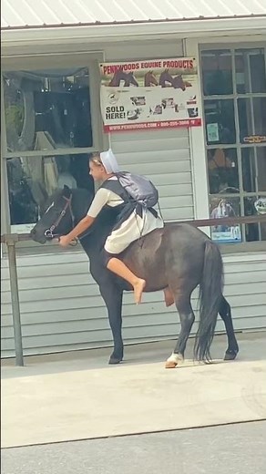 AASET Visits Amish Country!