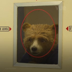 Share your Paddington pics for the chance to see them on the big screen! To celebrate his trip to Peru, we’re creating a montage of your Paddington memories. Imagine seeing your face on the big screen before Vue screenings this Christmas! Share your memories via the link below by 11:59pm on 24 November 2024. (Before posting, please check that anyone else featured in your photo is happy to join in too!) GB & ROI only. 18 . No guarantee of inclusion in final artwork. For full T&Cs visit https://bi