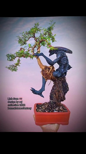 2.8K views · 51 reactions | Linh Sam bonsai Bonsai stones fantasy | Bonsai stones fantasy | Facebook