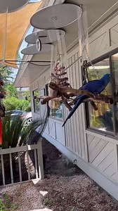 13K views · 426 reactions | Small moments, big memories ✨ IG: styledjen | Visit Hilton Head | Facebook