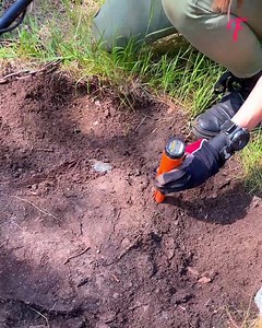 3.2K views · 18 reactions | A long hunt with a metal detector was rewarded | Tips & Tricks | Facebook