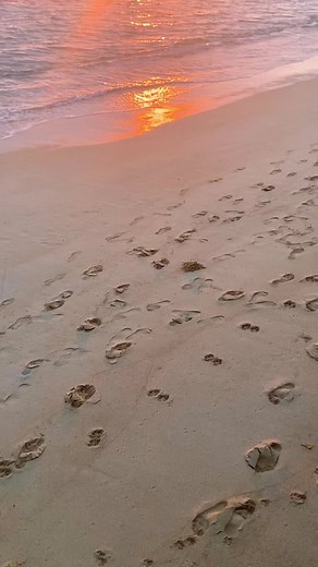 Lanikai sunrise. 🤙🏼🏝☀️ #sunrise #lanikaibeach #hawaii #oahu #aloha | Darrin Davis