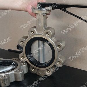[Hot Item] Brass Aluminum Bronze Lug Type Handle Butterfly Valve