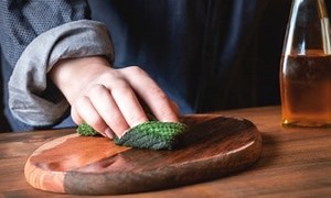 Tung Oil vs Linseed Oil: What Is the Difference?