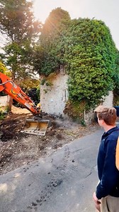 Goodbye creeping vines, hello clean walls! 🏠 | Creative Bee