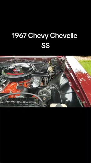 What do you guys think about this 67 Chevelle? Follow Chevy Chevelle Lover Follow @chevychevellelover ..... ..... #chevelle #chevelless #cheverolet #chevelleusa #chevellefactory #chevellesonly #70chevelle #chevelless454 #chevelleconvertible #chevellemalibu #1970chevelle #69chevelle #chevelleporn #67chevy #68chevelle #66chevelle #chevellesupersport #1967chevelle #chevellelife #chevychevelle #classiccars #67chevelless #sschevelle #chevychevellelover #classicchevys | Chevy Chevelle Lover