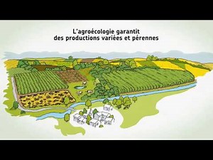 Natureparif : "La nature : une solution au changement climatique en Île-de-France"