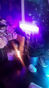 Nikki Mitchell on Reels