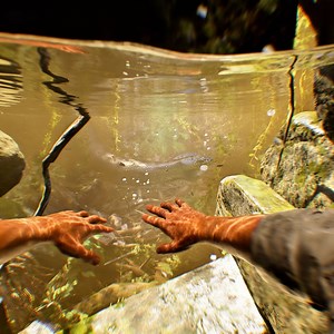 Only Indiana Jones Would Cross a Giant Anaconda | Foxxy