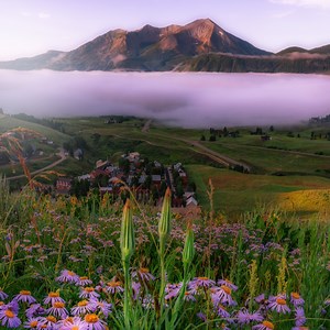 5.9K views · 164 reactions | The superbloom is here! Take a summer vacation with the wildflowers  | Travel Crested Butte | Facebook
