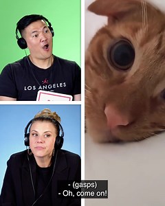 Jodie, how could you? #React | REACT