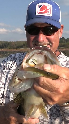 🔊Volume🔼❗️Being stealthy while frog fishing is a must for getting more bites! Bobby Barrack #snagproof #largemouthbass #angler #fishinglife #bass #topwaterfishing #topwater #pondfishing #froggy #topwaterblowups #americanbaitworks | Snag Proof Lures