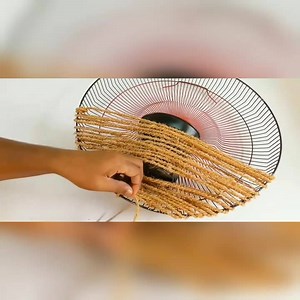 2.5K views · 74 reactions | Beautiful indoor wall plants ideas for your home☘️ | Crafts & Plants Ideas | Facebook