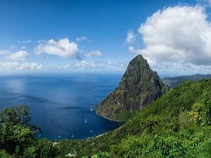 Island Cove | ImageVine