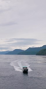 Plan your immersive outdoor adventure in Campbell River, home to conscientious and impactful experiences in nature. 🇨🇦 | Destination Campbell River