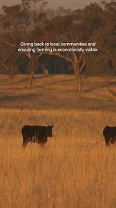 Para peternak di Australia menjalankan produksi daging sapi dan domba...