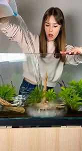 This is more than an aquarium — it’s a living ecosystem. In this cinematic aquascaping timelapse, watch a bare glass tank evolve into a carefully balanced nature-inspired underwater world. Every stone, every piece of wood, and every plant is placed with intention to create depth, flow, and long-term harmony. Aquascaping blends design, biology, and patience. The goal isn’t just beauty on day one — it’s a layout that matures, breathes, and grows more natural over time. This build focuses on: 🌿 Na