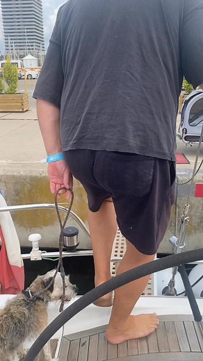 Freddie & Tone off for a morning #borderterrier #dogs #liveaboard #sailing | Salty Old-Sea Dog-Tales