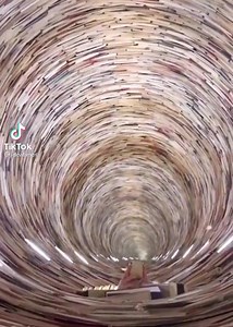 5.2K views · 93 reactions | Najveća kula izgrađena od knjiga. | Sremskomitrovački portal | Facebook