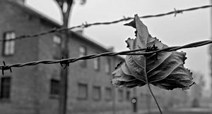 İHD Hapishane Komisyonu: “651’i ağır bin 517 hasta mahpus var” - Medyascope