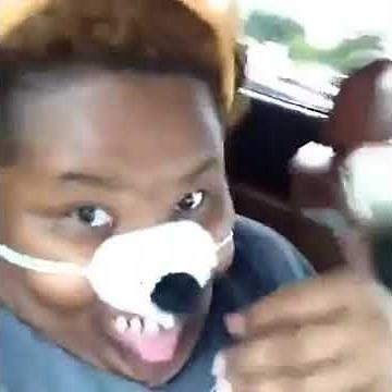 Ylvis - The Fox (What Does the Fox Say?) PARODIA/PARODY