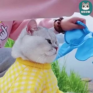 629K views · 81 reactions | DayDream KBR on Reels | Facebook