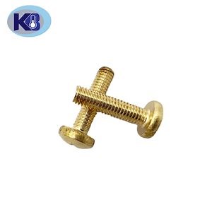 [Hot Item] Premium Heavy-Duty Brass Screws for Durable Construction Projects