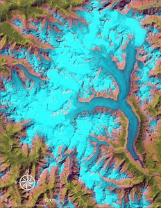 Hakai Institute on Reels