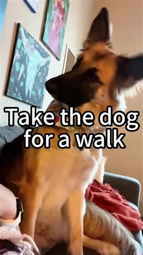 Extra Wide Sock Company on TikTok